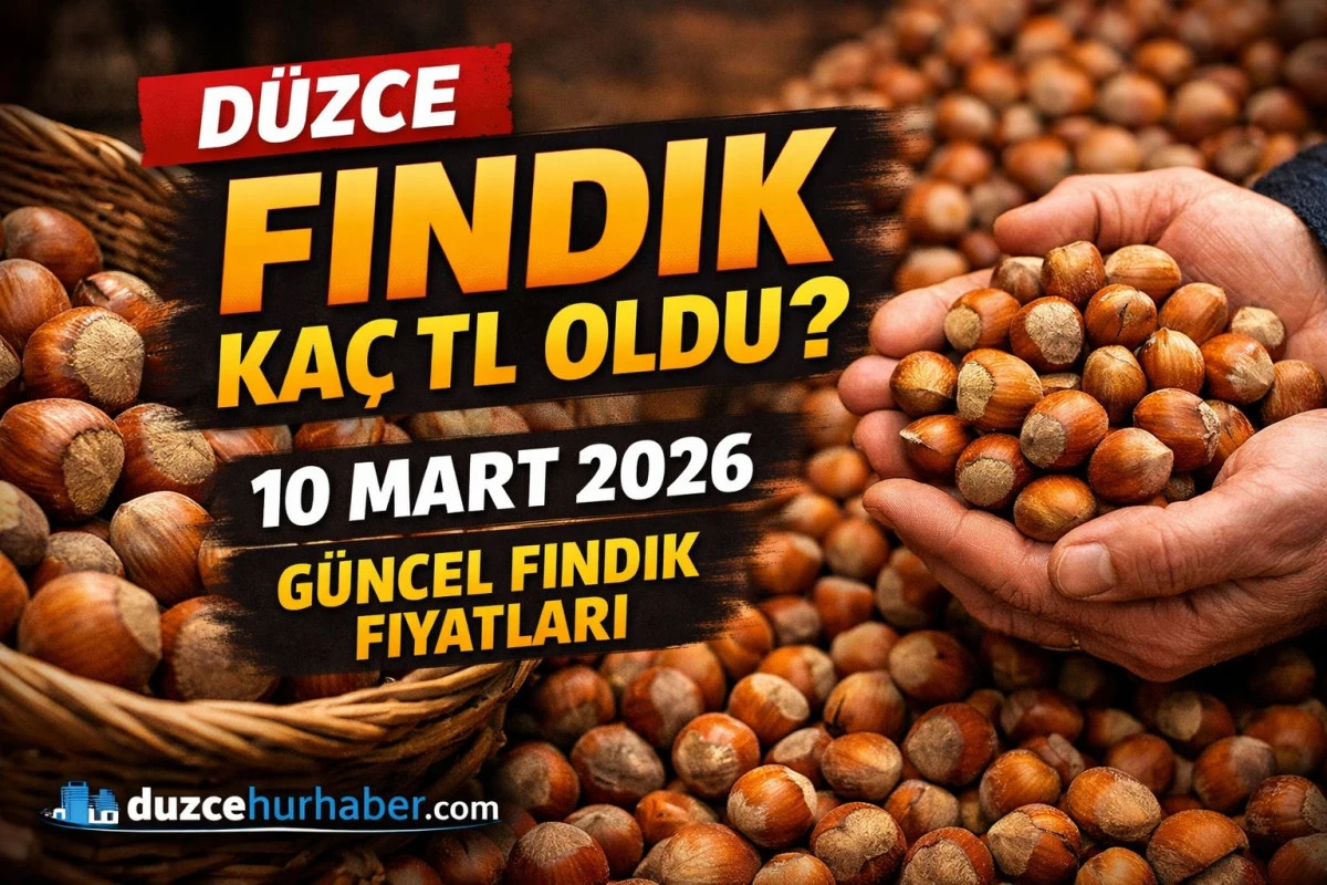 D&uuml;zce&rsquo;de Fındık Ka&ccedil; TL Oldu? 10 Mart 2026 G&uuml;ncel Fiyatlar A&ccedil;ıklandı