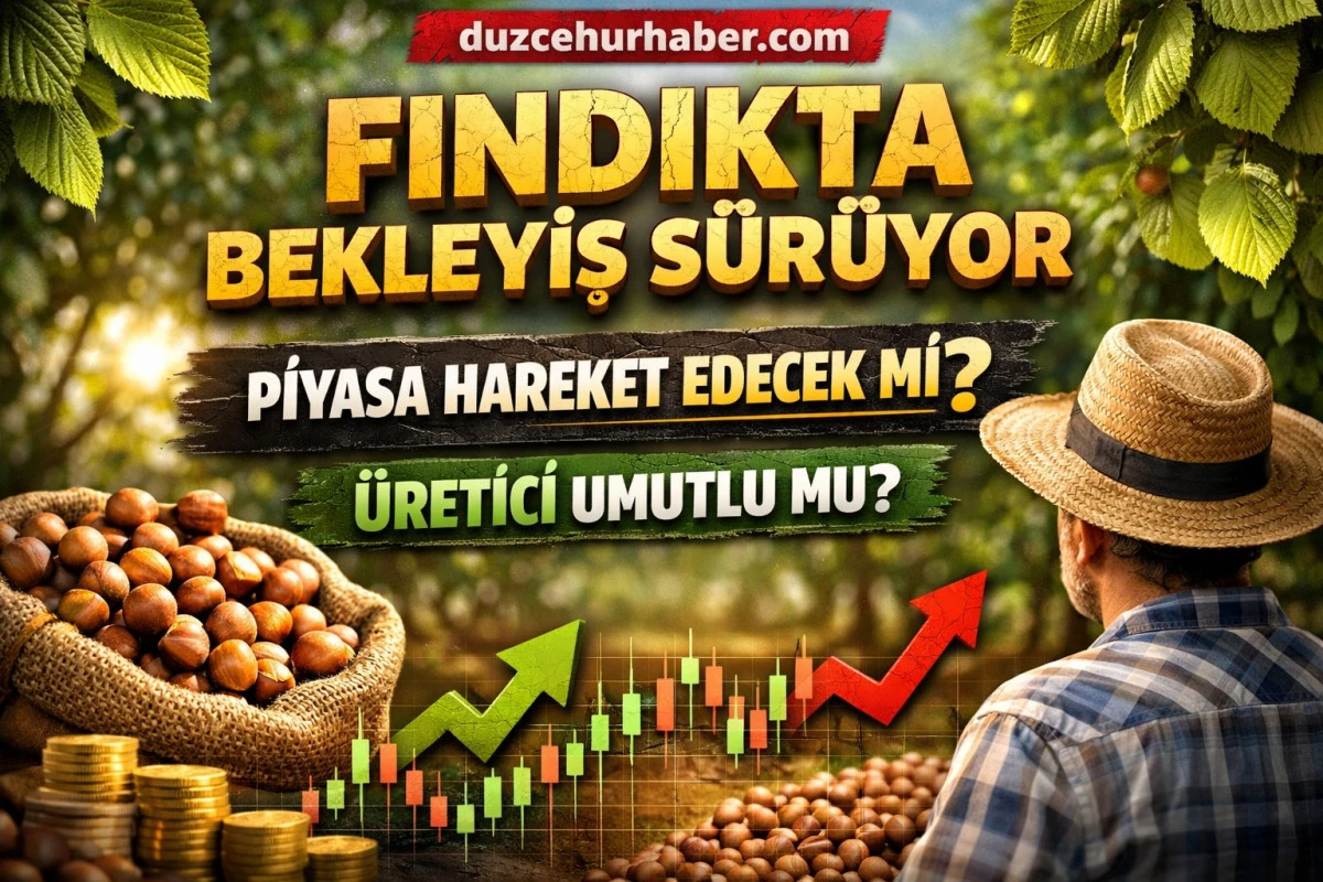 D&uuml;zce&rsquo;de Fındıkta Bekleyiş S&uuml;r&uuml;yor! 17 Nisan 2026 Fiyatları ve İl&ccedil;e İl&ccedil;e G&uuml;ncel Durum