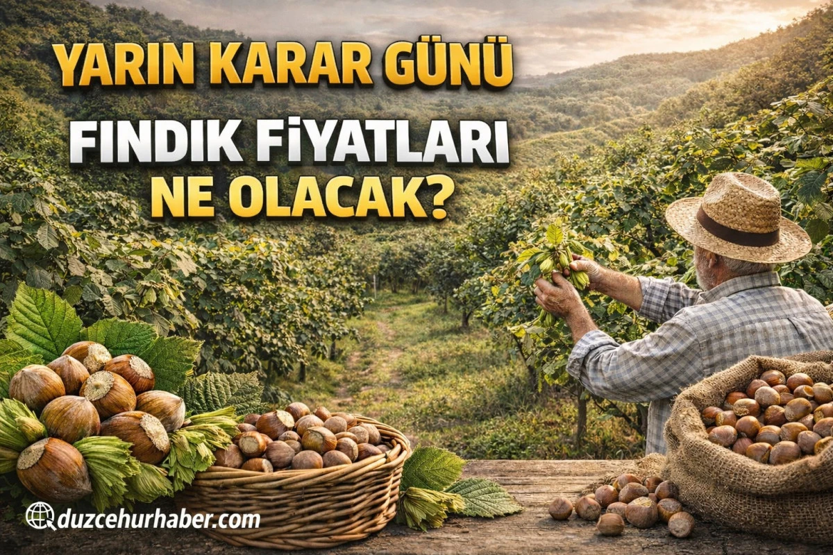 D&uuml;zce&rsquo;de Fındıkta Kritik Bekleyiş: 19 Nisan 2026 Fiyatları, G&ouml;zler Yarınki Piyasada