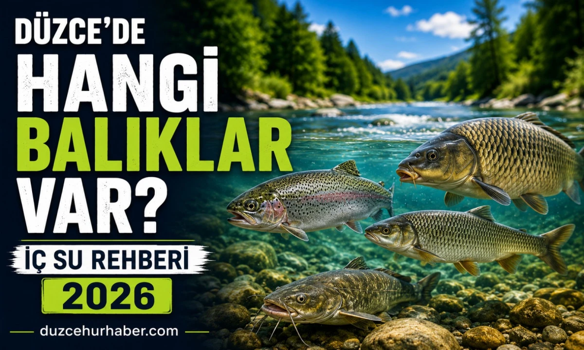 D&uuml;zce'de Hangi Balıklar Var? İ&ccedil; Su T&uuml;rleri, Av Yasakları ve Balık&ccedil;ılık Rehberi