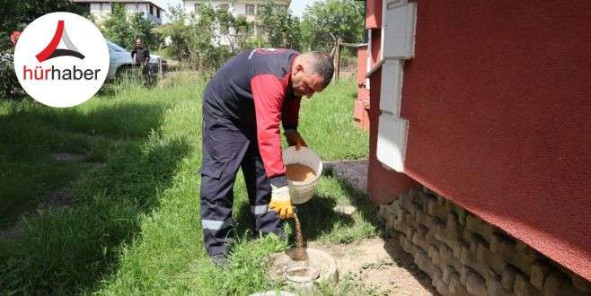 Düzce’de haşere ile mücadele sürüyor