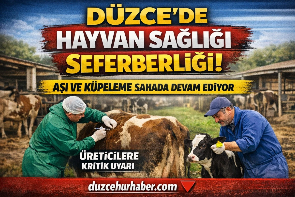 D&uuml;zce&rsquo;de Hayvan Sağlığı İ&ccedil;in Seferberlik! Aşı ve K&uuml;peleme &Ccedil;alışmaları S&uuml;r&uuml;yor