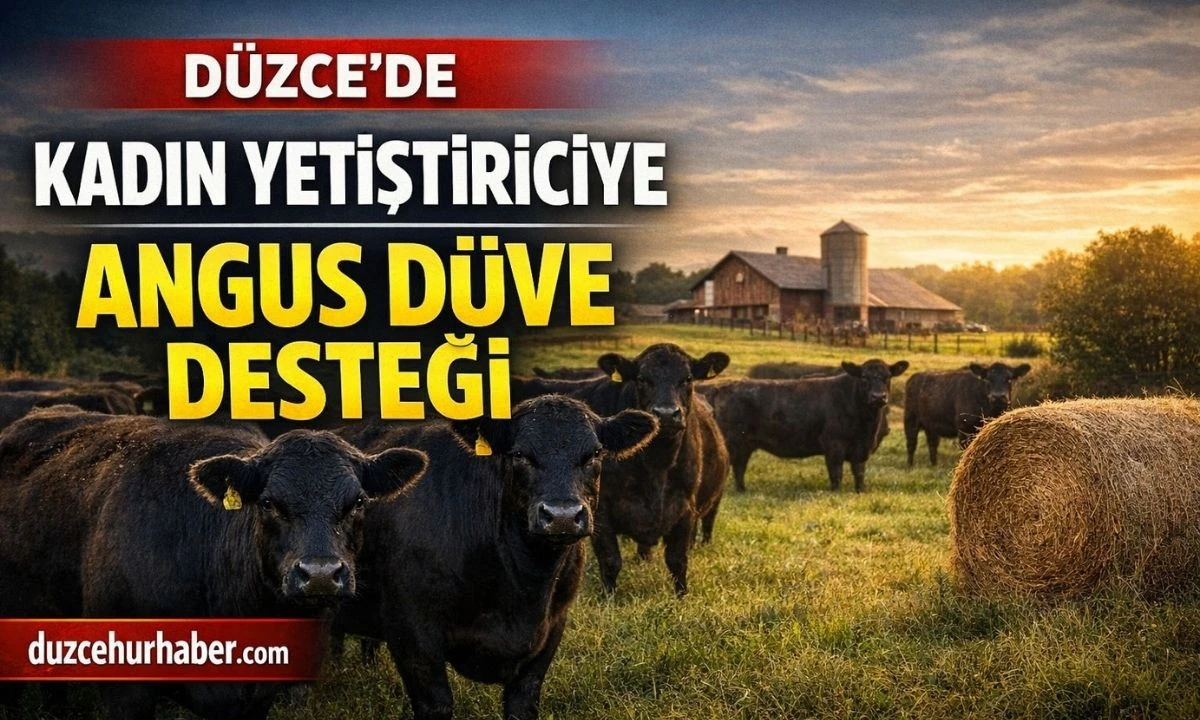 D&uuml;zce&rsquo;de Kadın Yetiştiriciye B&uuml;y&uuml;k Destek! 42 Angus D&uuml;ve Verildi, 16 Buzağı Doğdu