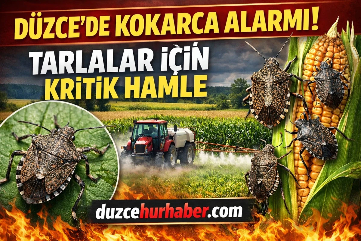 D&uuml;zce&rsquo;de Kokarca Seferberliği! Kışlak Alanlar İla&ccedil;landı