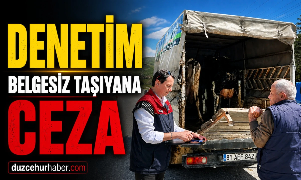 D&uuml;zce&rsquo;de Kurban &Ouml;ncesi Sıkı Denetim: Belgesiz Hayvan Taşıyana Ceza