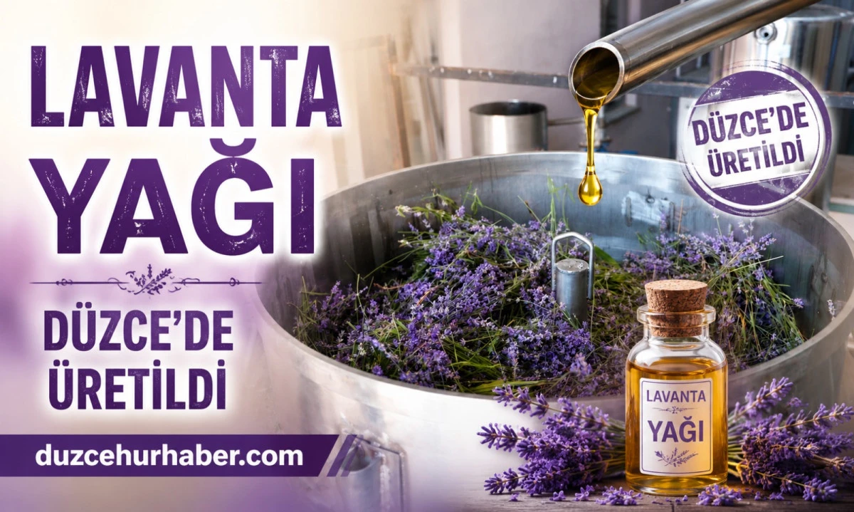 D&uuml;zce'de Lavanta Bilimle Değer Kazanıyor