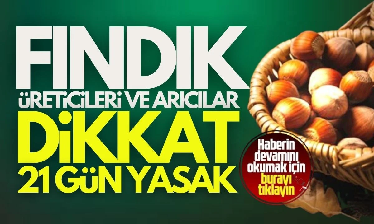 Düzce'de mücadele başlıyor! 