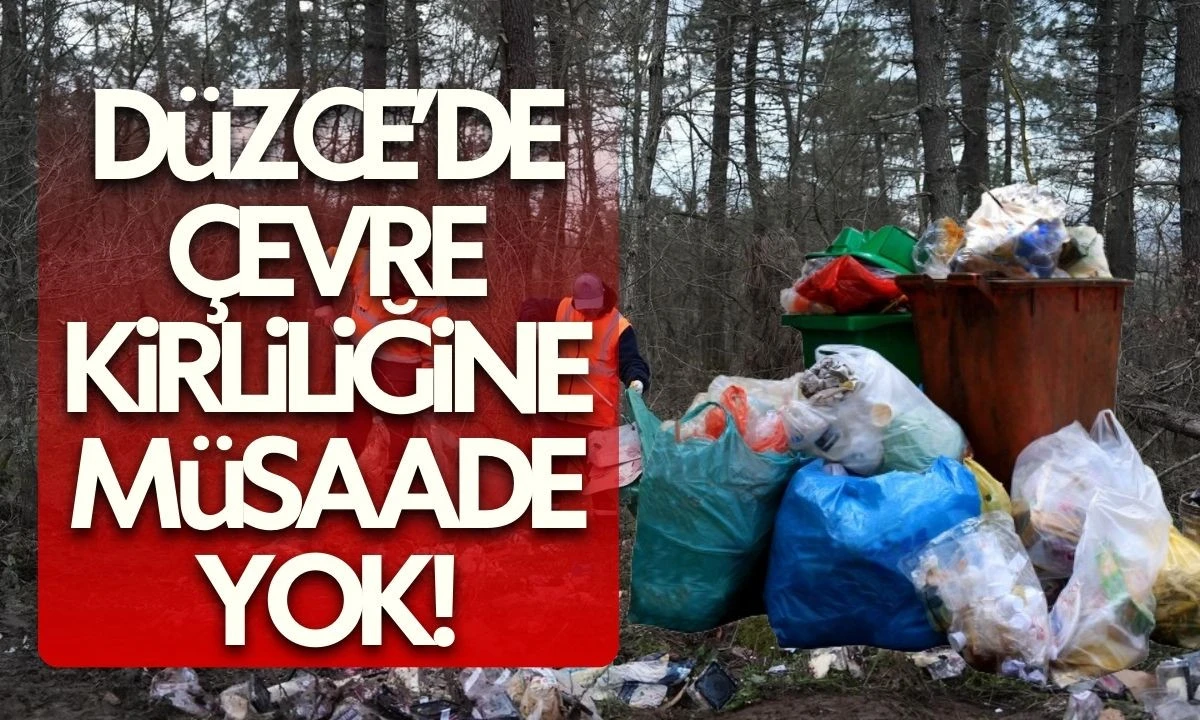 D&uuml;zce'de Ormanı &ccedil;&ouml;pl&uuml;ğ&uuml; &ccedil;evirmişler