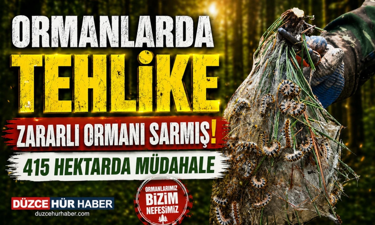 D&uuml;zce&rsquo;de Ormanları Tehdit Eden Zararlıya Doğal M&uuml;cadele! 415 Hektarda &Ccedil;alışma