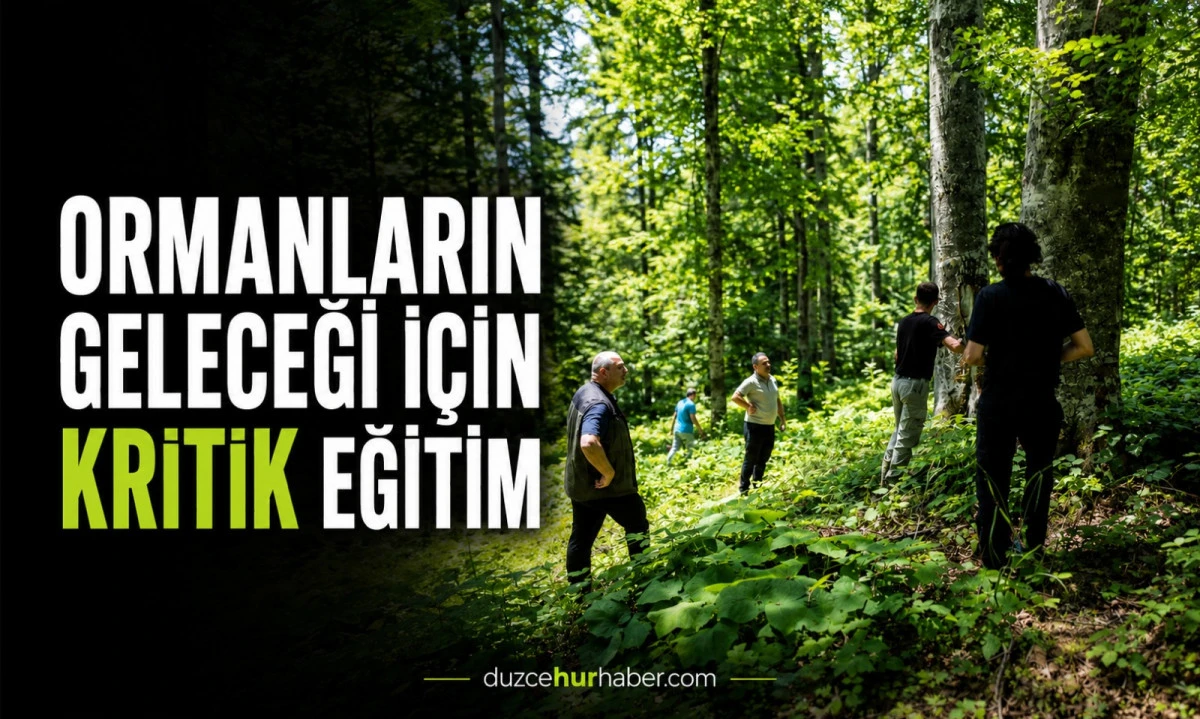 D&uuml;zce'de ormanların geleceği i&ccedil;in kritik eğitim! Tohum ağa&ccedil;ları sahada belirlendi