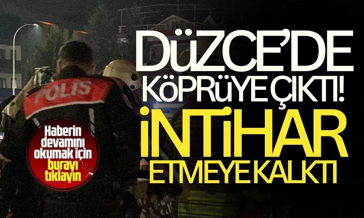 Düzce'de Şakuç Köprüsü'nde İntihar Girişimi
