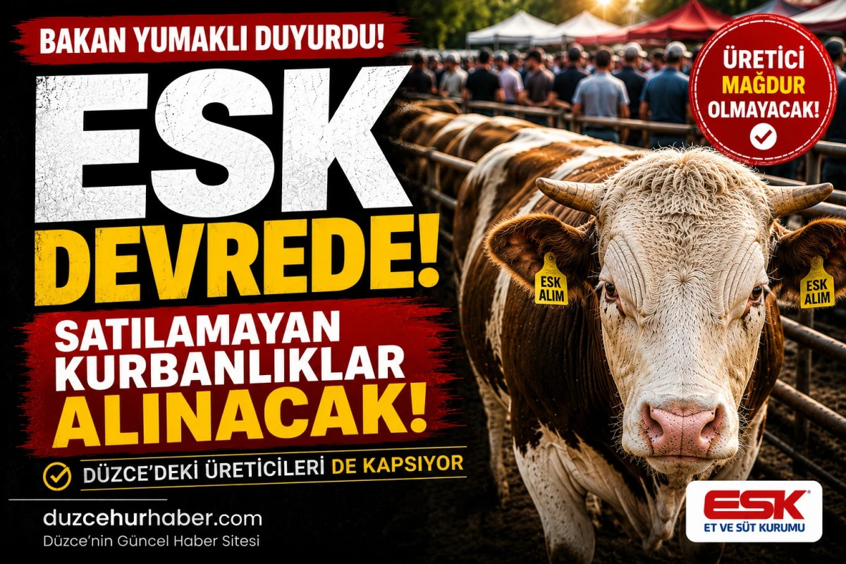 D&uuml;zce&rsquo;de Satılamayan Kurbanlıklar İ&ccedil;in ESK Devrede