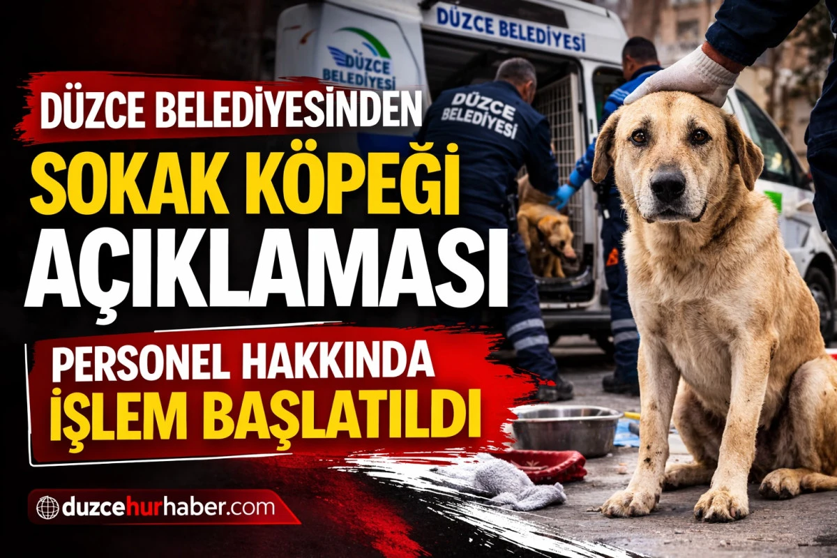 D&uuml;zce&rsquo;de Sokak K&ouml;peği G&ouml;r&uuml;nt&uuml;leri Tartışma Yarattı: Belediyeden A&ccedil;ıklama Geldi