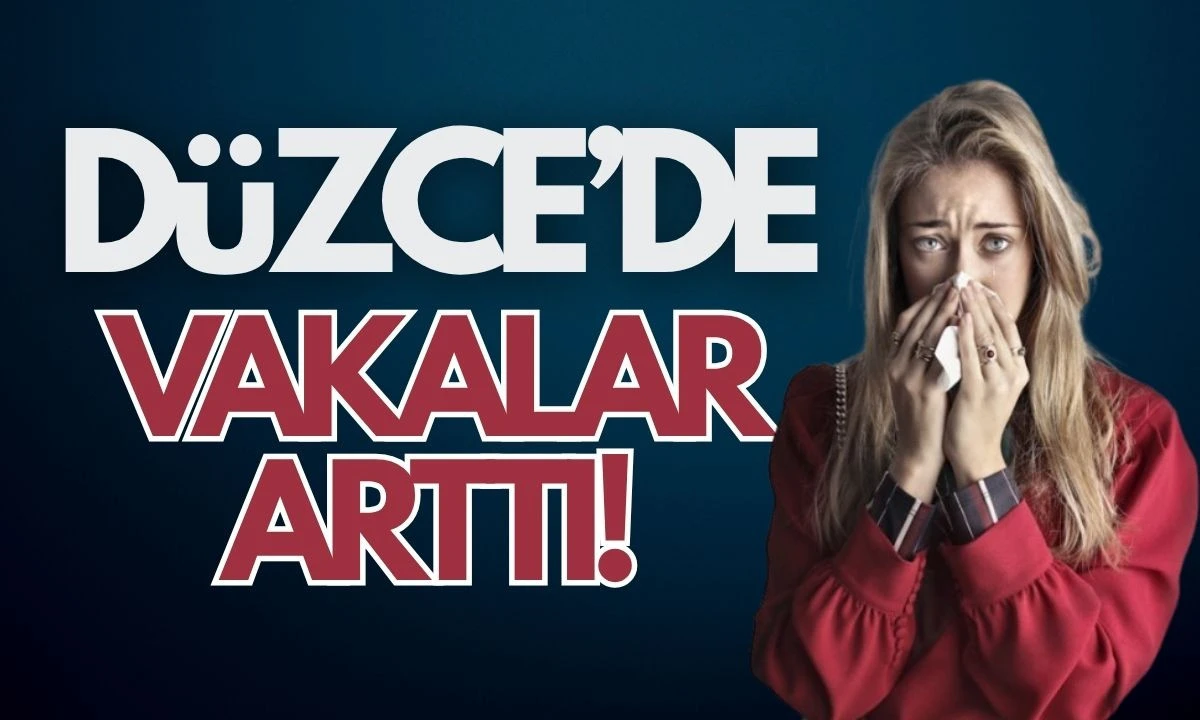Düzce'de VAKALAR çoğaldı! 