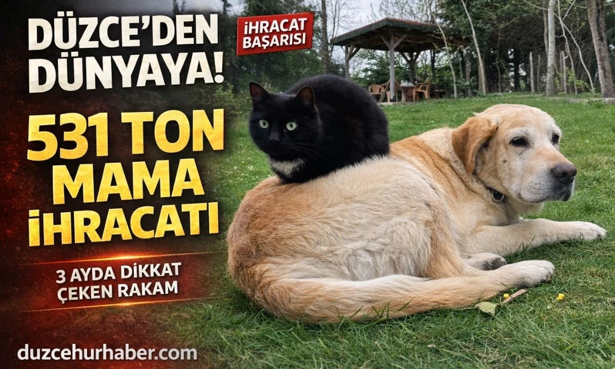 D&uuml;zce&rsquo;den 3 ayda 531,9 ton mama ihracatı ger&ccedil;ekleşti