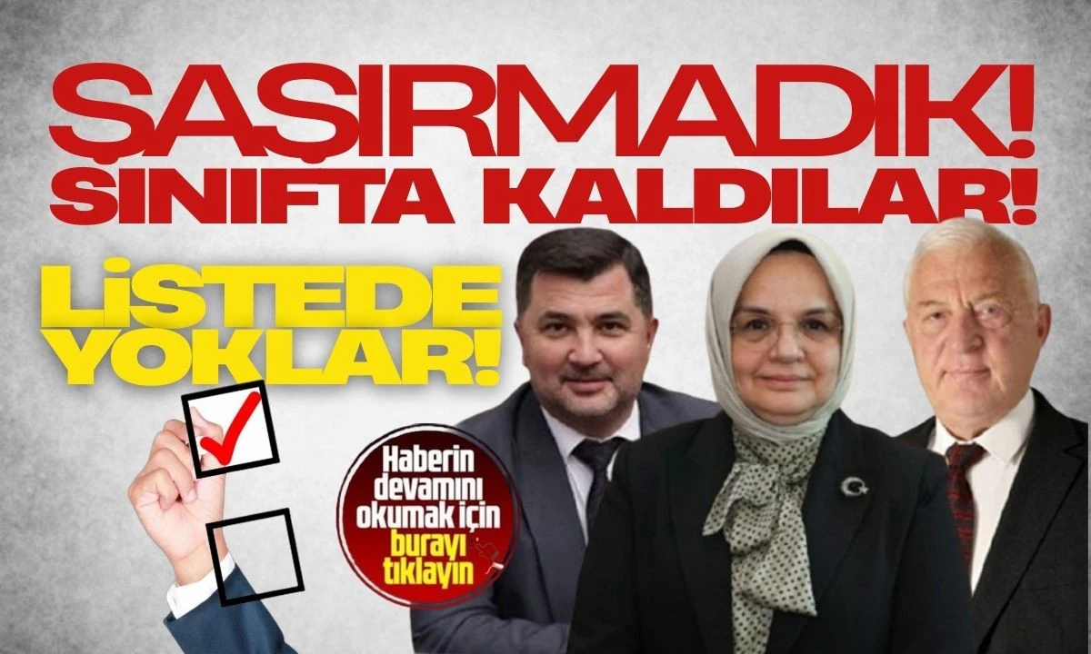 Düzce'nin Milletvekilleri listede yok! Sınıfta kaldılar 