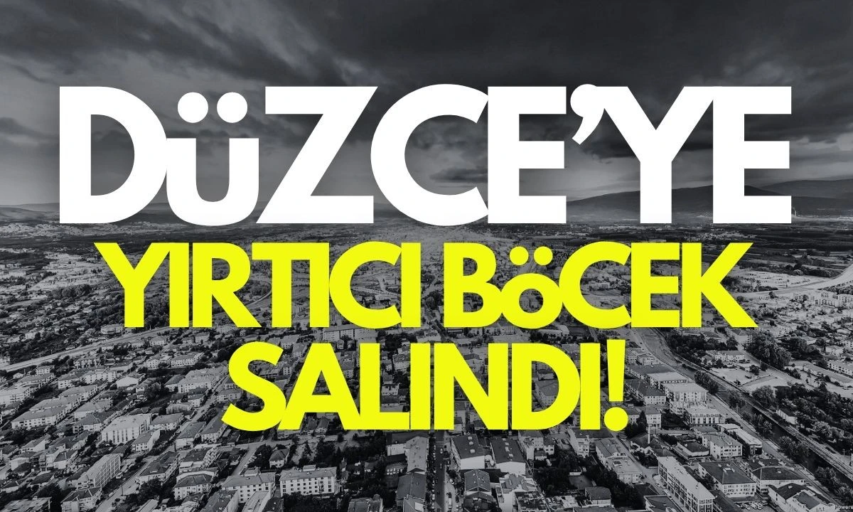 Düzce'ye Yırtıcı böcek salınımı yapıldı