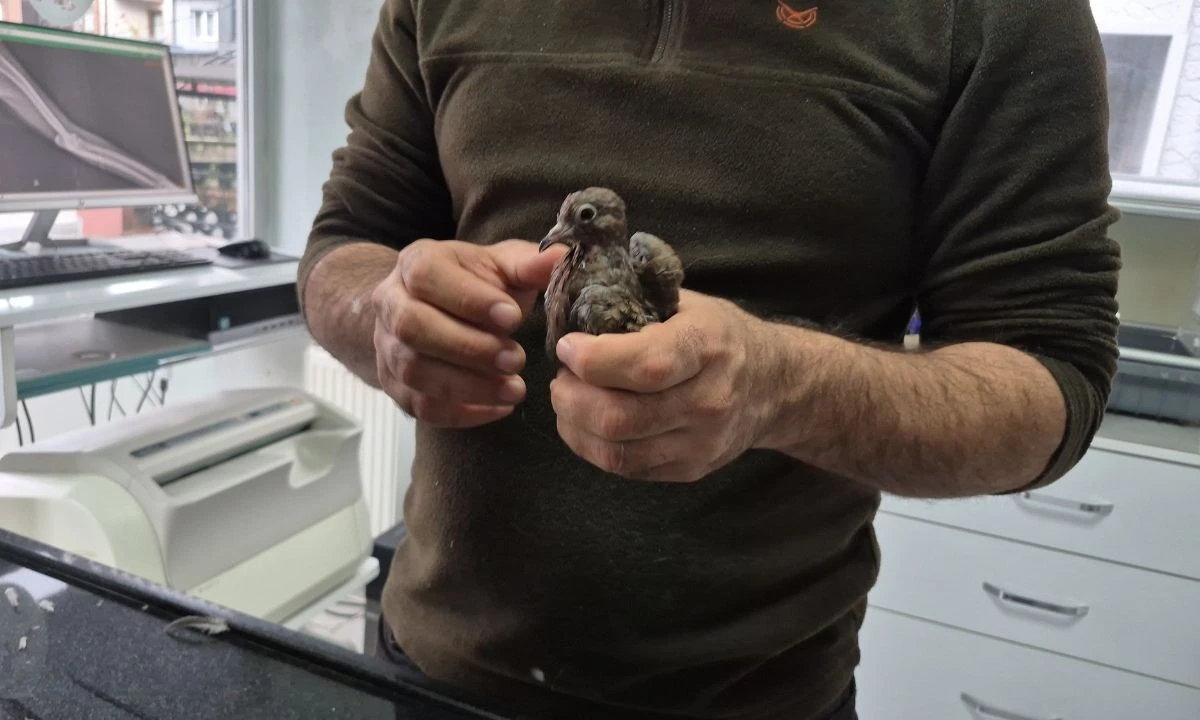 Eliyle Su Veren Duyarlı Vatandaş Düzce'de Takdir Topladı