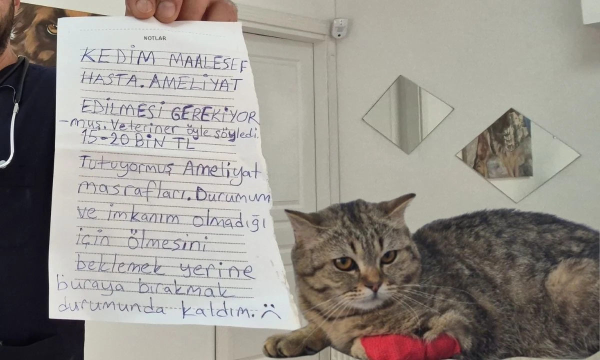 Eskiden cami avlusuna bebekler bırakılıyordu, şimdi kediler