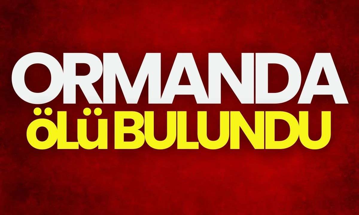 Evinden bavulunu alıp çıkmıştı, ormanda bulundu! 