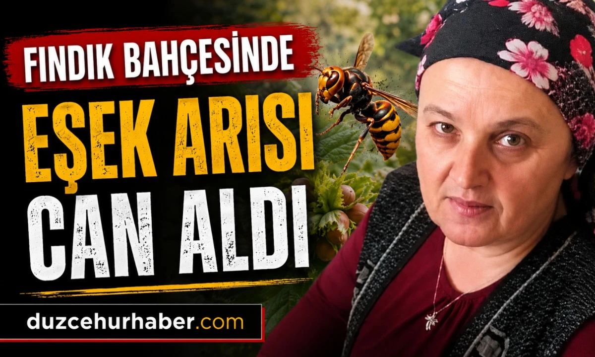 Fındık Bah&ccedil;esinde Eşek Arısı Soktu: 57 Yaşındaki Kadın Hayatını Kaybetti