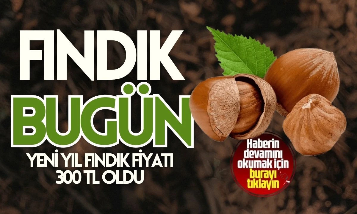 Fındık BUG&Uuml;N 5 Ocak 2026 