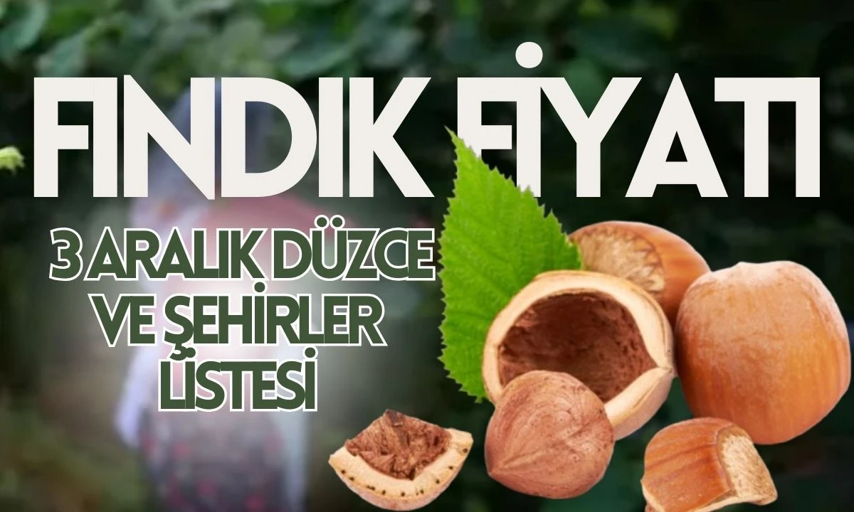 Fındık Fiyatları 3 Aralık: Düzce ve Şehirler Listesi