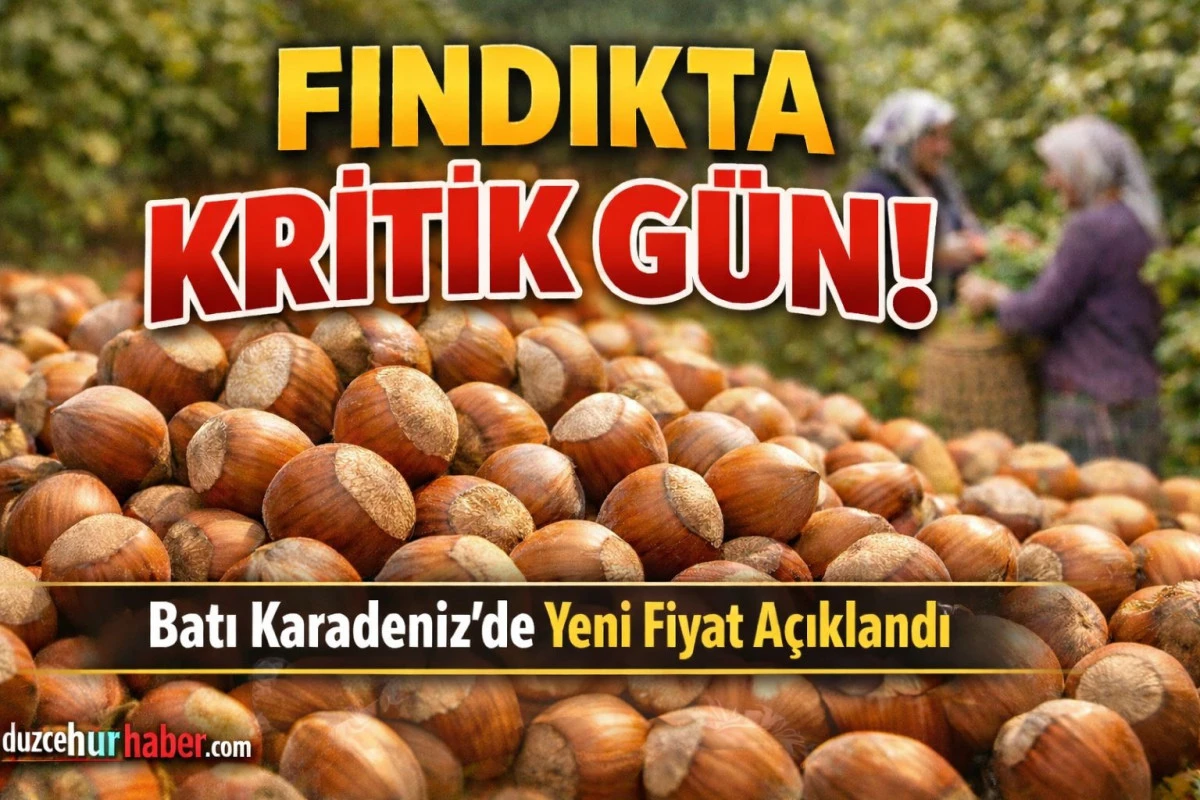 Fındık Fiyatları 9 Mart&rsquo;ta Yeniden Y&uuml;kseldi! D&uuml;zce ve Batı Karadeniz&rsquo;de Son Durum A&ccedil;ıklandı