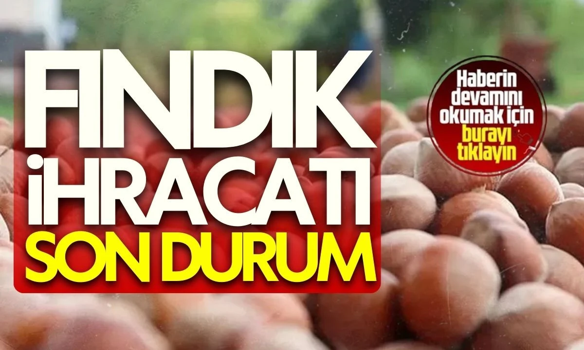 FINDIK İHRACATI SON DURUM 