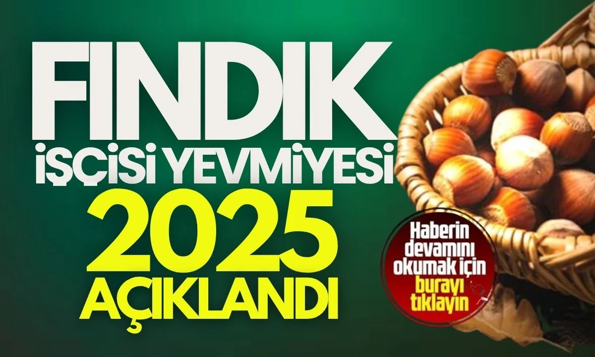 Fındık İşçisi Yevmiyesi 2025 Güncel Bilgiler