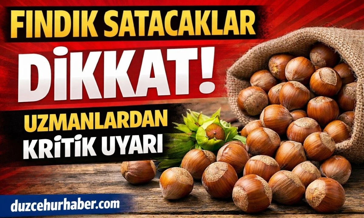 &ldquo;Fındık Satacaklar Dikkat! Uzmanlar Mart Ayı İ&ccedil;in Kritik Tahmini A&ccedil;ıkladı&rdquo;