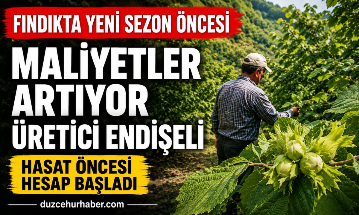 Fındıkta Hasat &Ouml;ncesi Alarm! &Uuml;retici Artan Maliyetler Karşısında Hesap Yapıyor