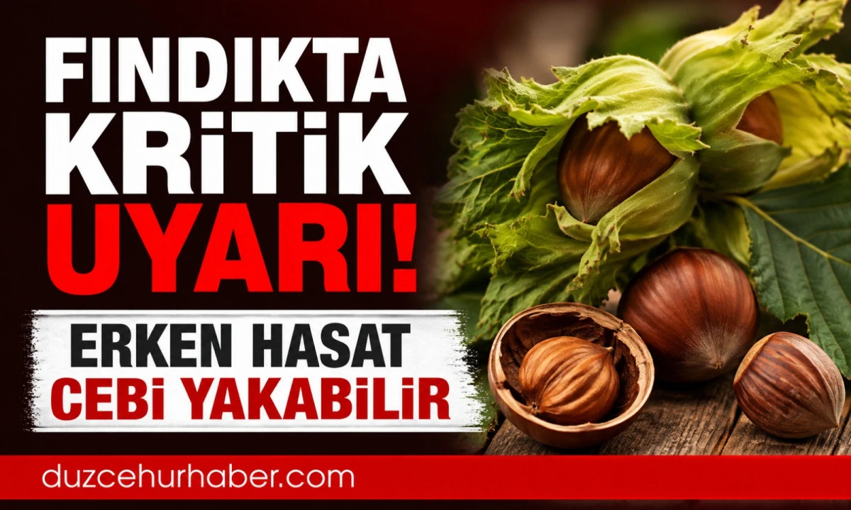 Fındıkta kritik uyarı! Erken hasat &uuml;reticinin cebini yakabilir