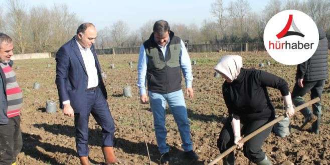 Fındıkta verim ve kalite artıracak proje