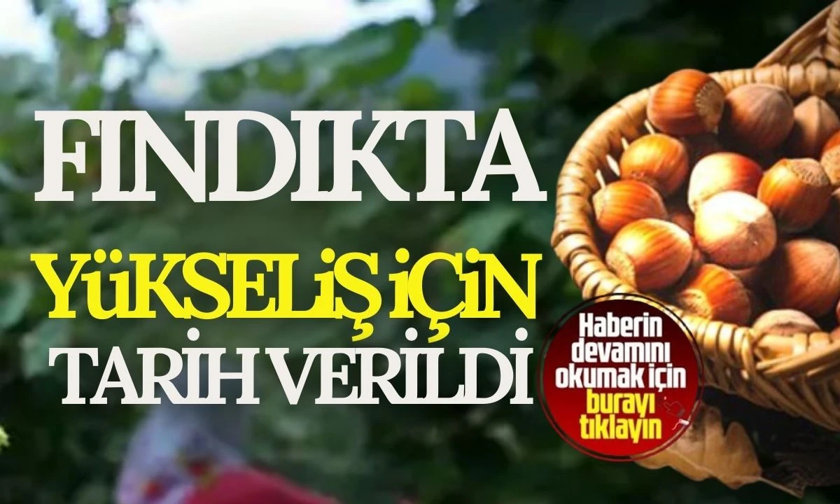 Fındıkta Yükseliş için tarih verdi