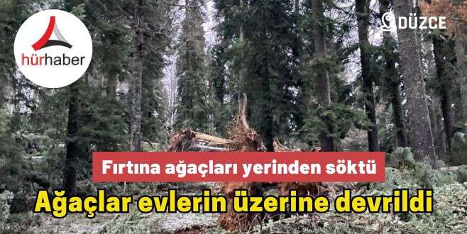 Fırtına ağaçları yerinden söktü