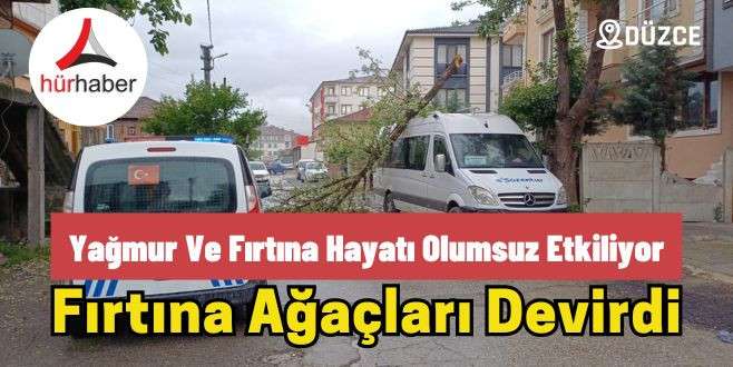 Fırtına nedeniyle devrilen ağacın altında servis minibüsü kaldı