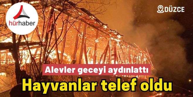 Gece çıkan yangında 5 hayvan telef oldu