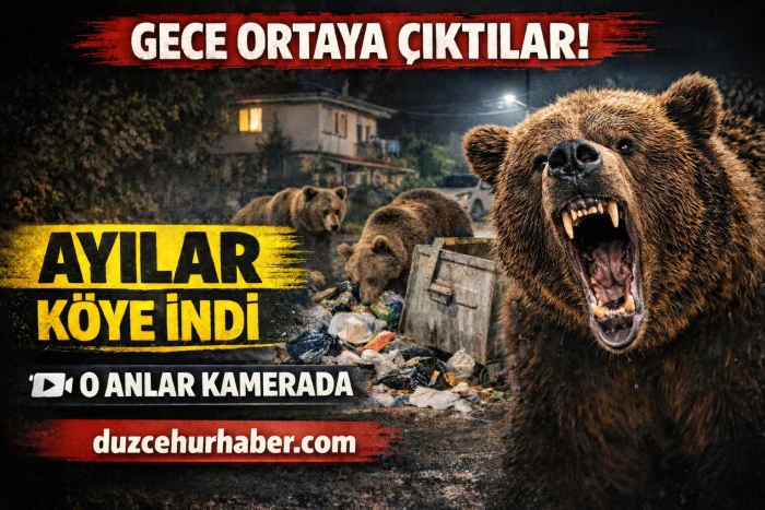 Gece Yolu Bir Anda Hareketlendi&hellip; Zonguldak&rsquo;ta Ayılar K&ouml;ye İndi