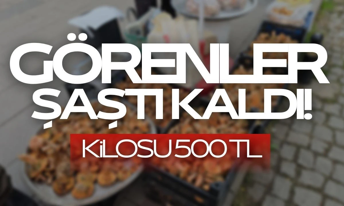 Görenler şaştı kaldı! Kilosu 500 TL
