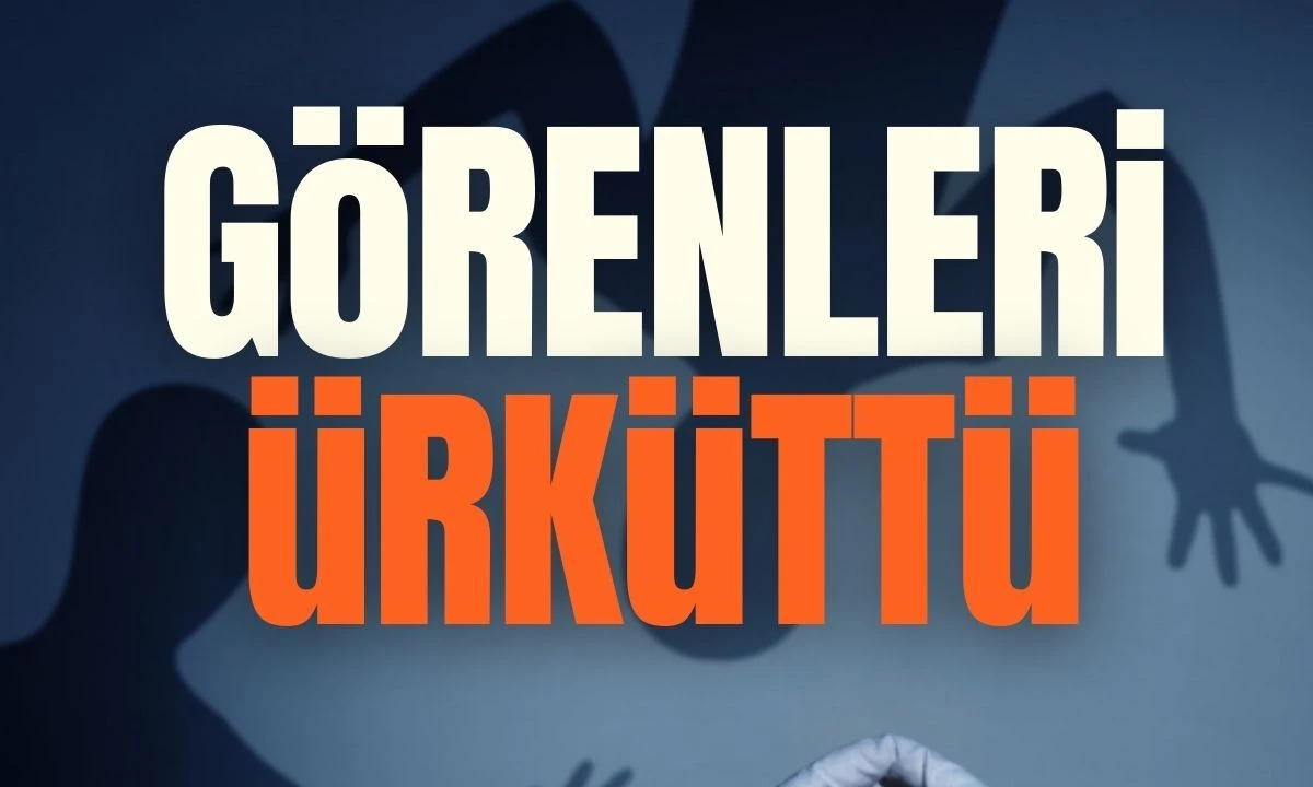 Görenleri ürküttü 