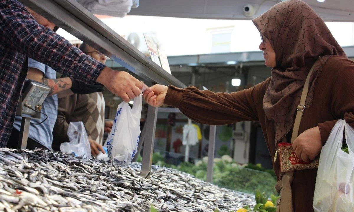 Hamsi Fiyatı: 200 TL'den Tezgahlarda!