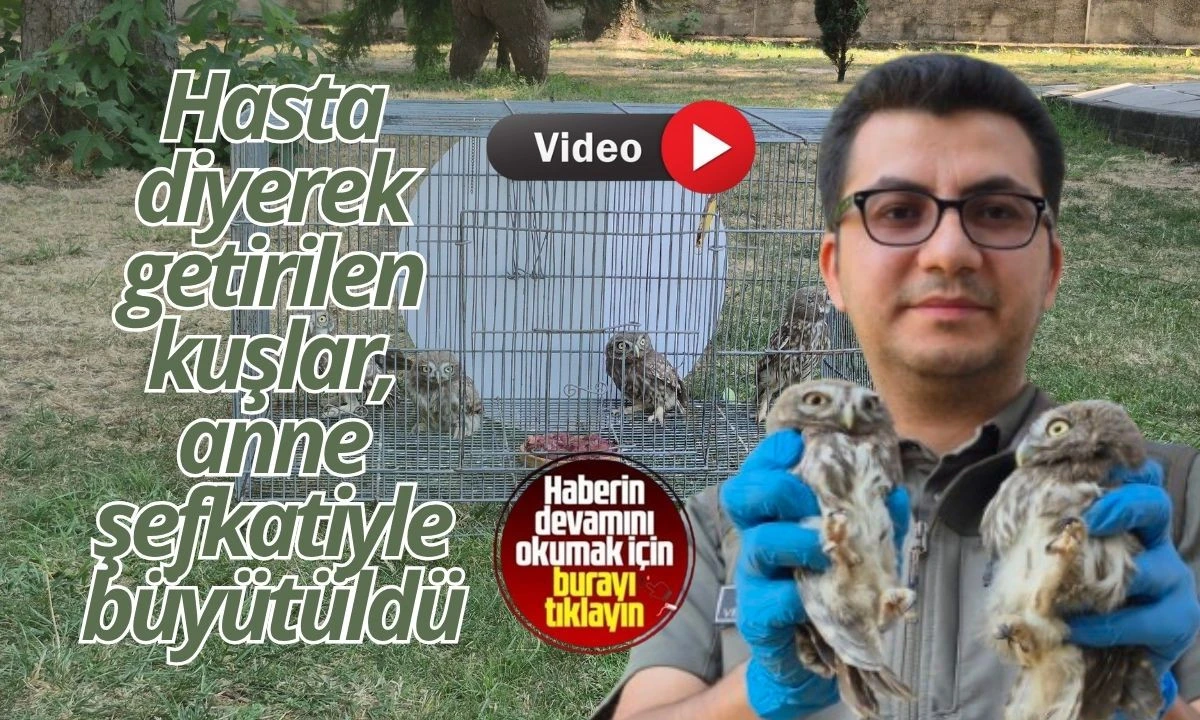 Hasta Yavrulara Şefkatle Bakıp Sağlığına Kavuşturdular