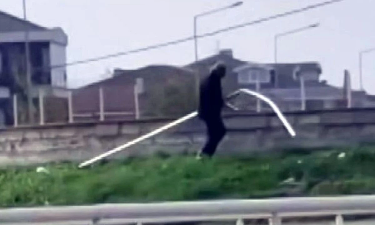 Hayrete Düşüren Park Korkuluk Hırsızı