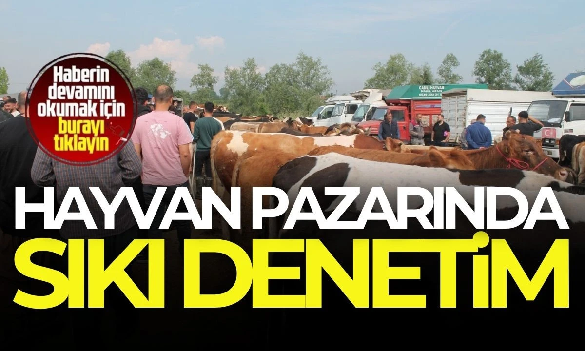 Hayvan pazarında sıkı denetim