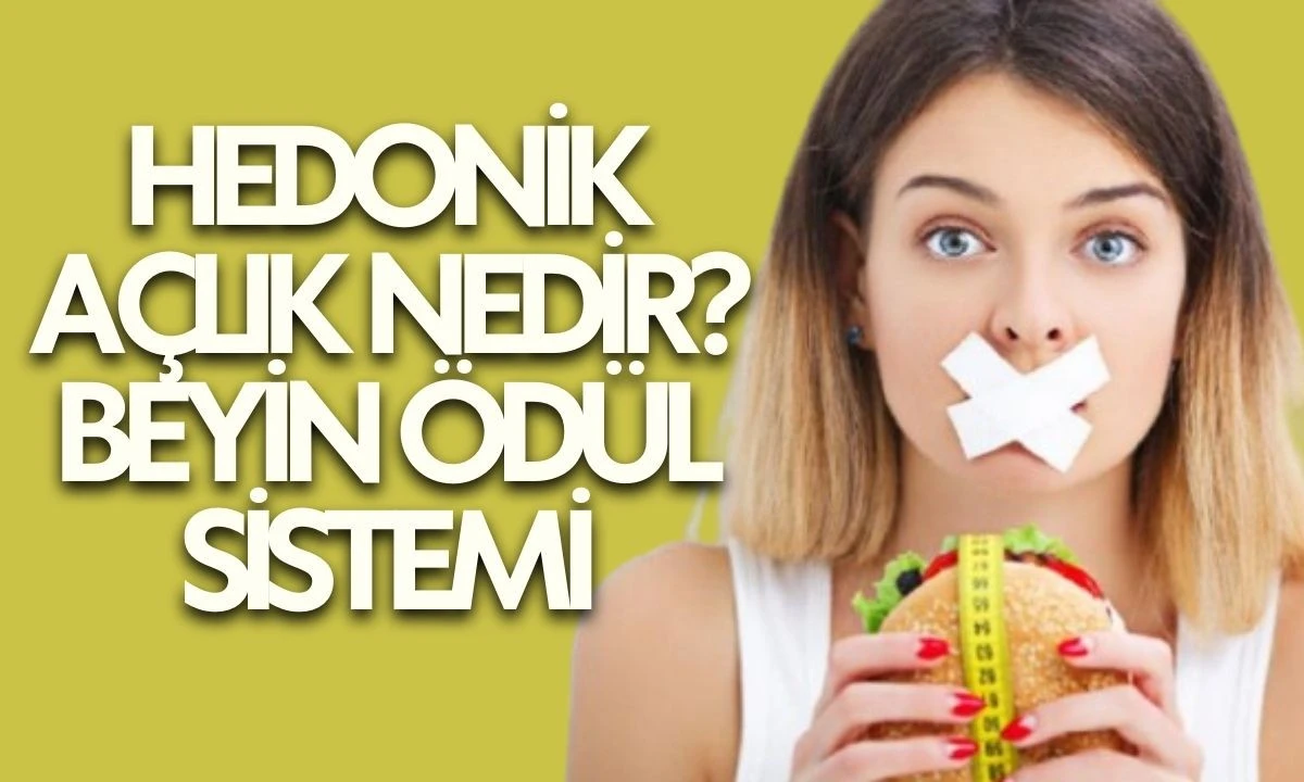 Hedonik A&ccedil;lık Nedir? Beyin &Ouml;d&uuml;l Sistemi