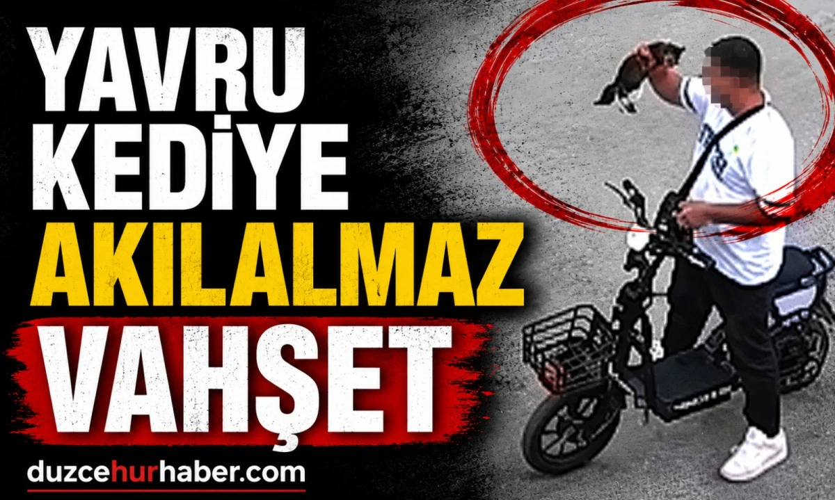 Kan donduran olay! Yavru Kediyi &Ouml;nce &Ouml;pt&uuml;, Sonra Boğdu! G&ouml;zaltına Alındı