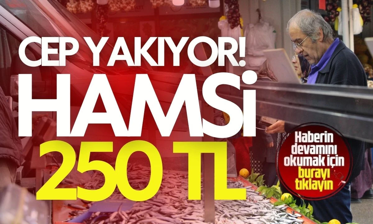 Karadeniz Fırtınası Hamsi Fiyatlarını Yükseltti