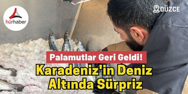 Karadeniz'in Deniz  Altında Sürpriz