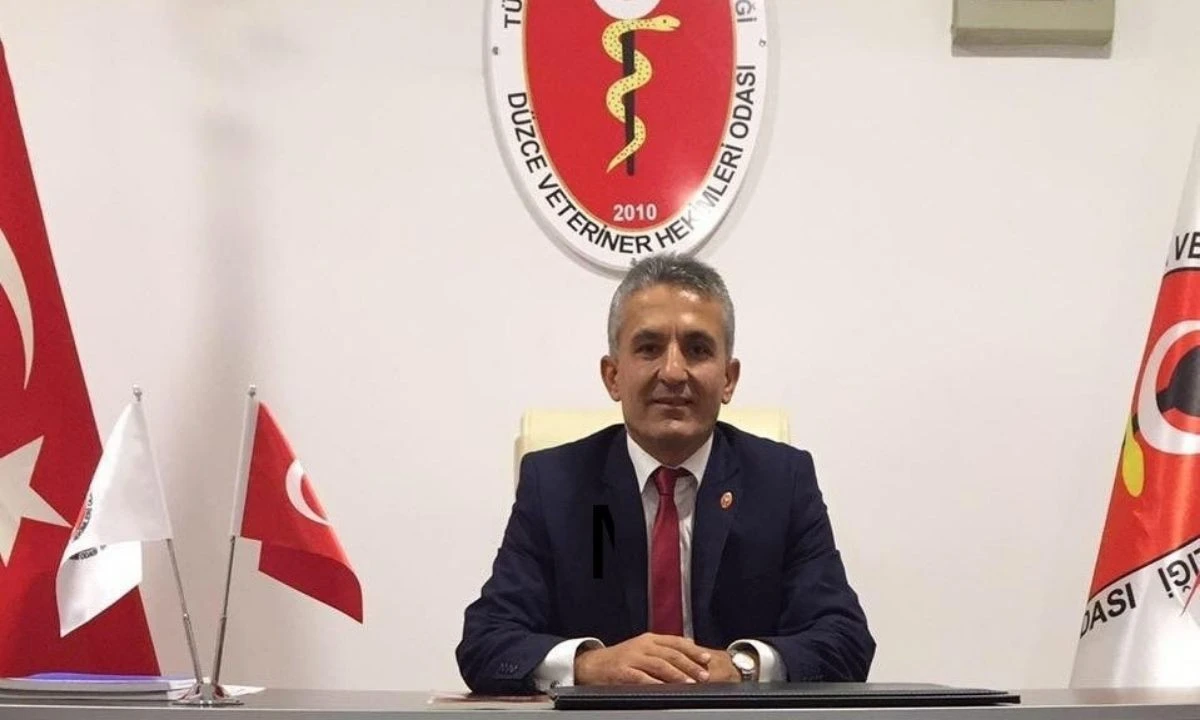 Karanfil: Yeni Hayvan Yasası Sokak Sorunlarını Azaltır